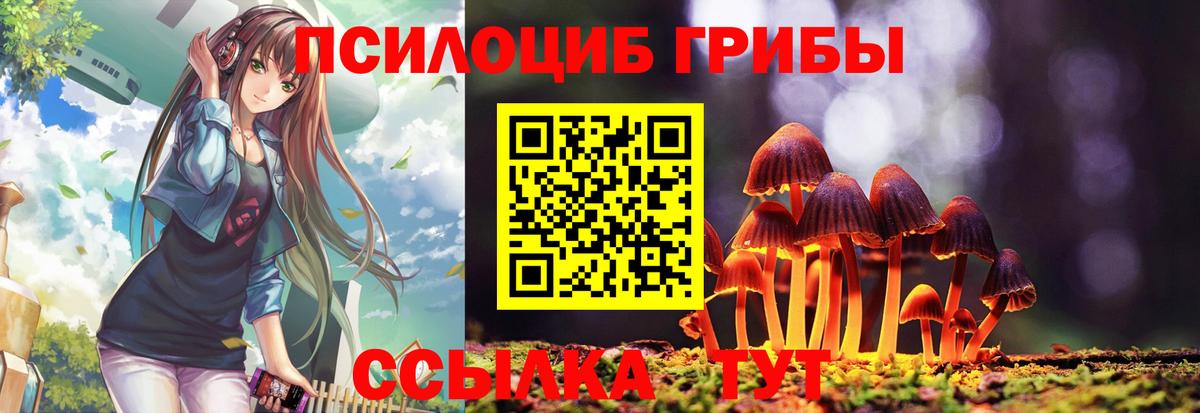 наркотики  Вход с VPN  Минусинск  Галлюциногенные грибы GOLDEN TEACHER 